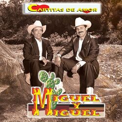 Cover of Cartitas De Amor