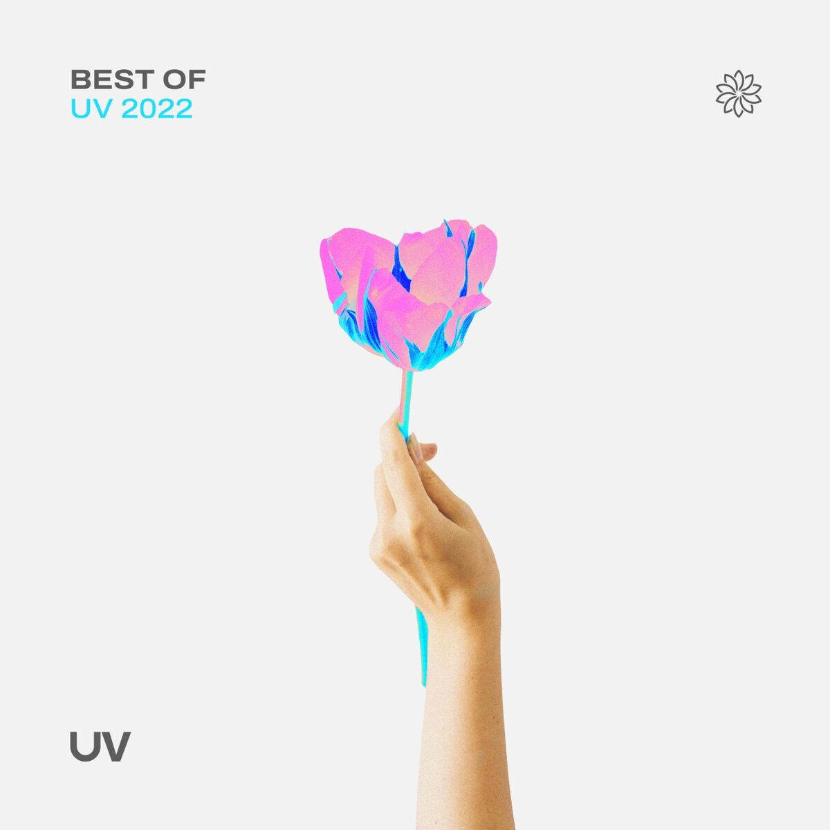 Album cover of Show Me the Stars