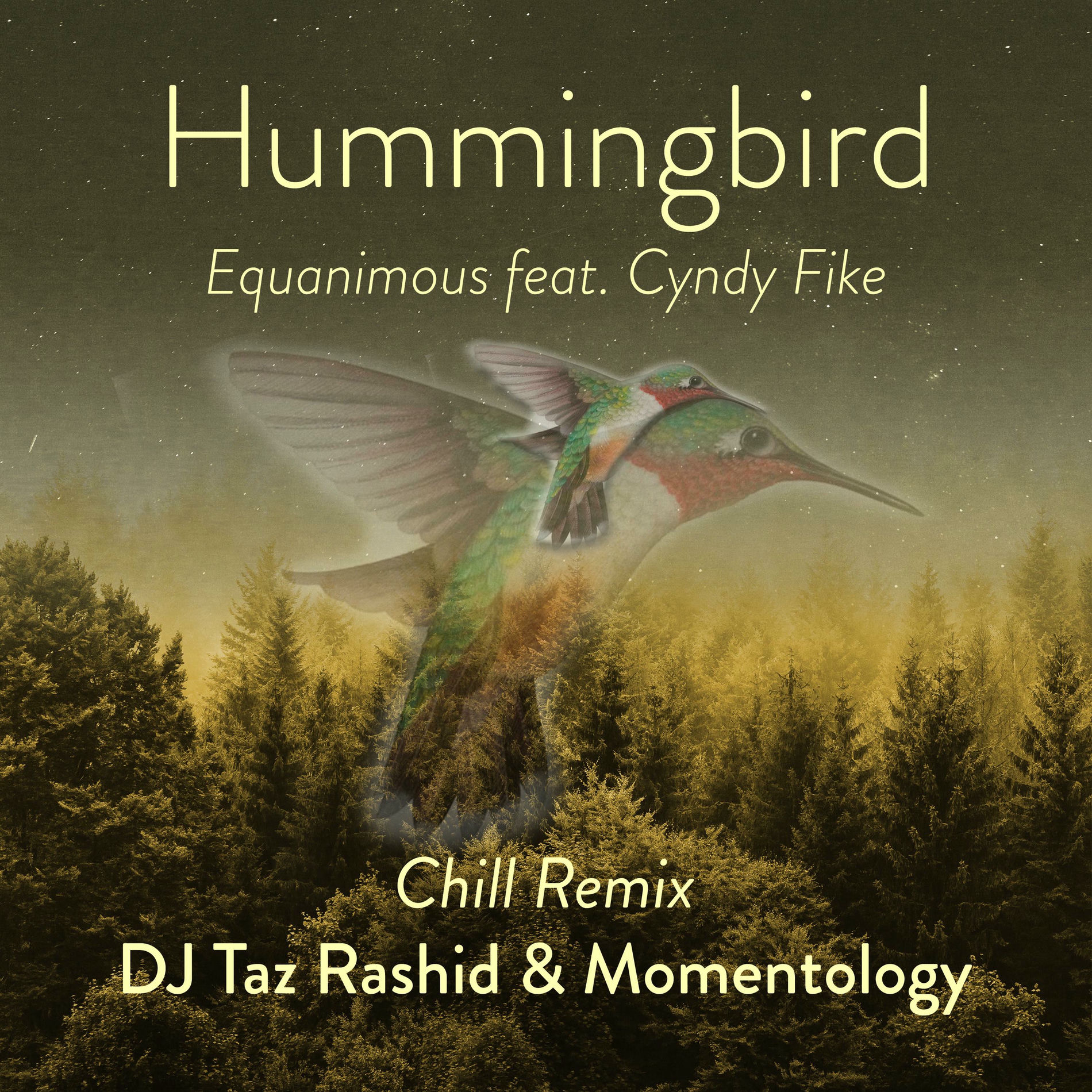 Album cover of Hummingbird Chill Mix (feat. Cyndy Fike)