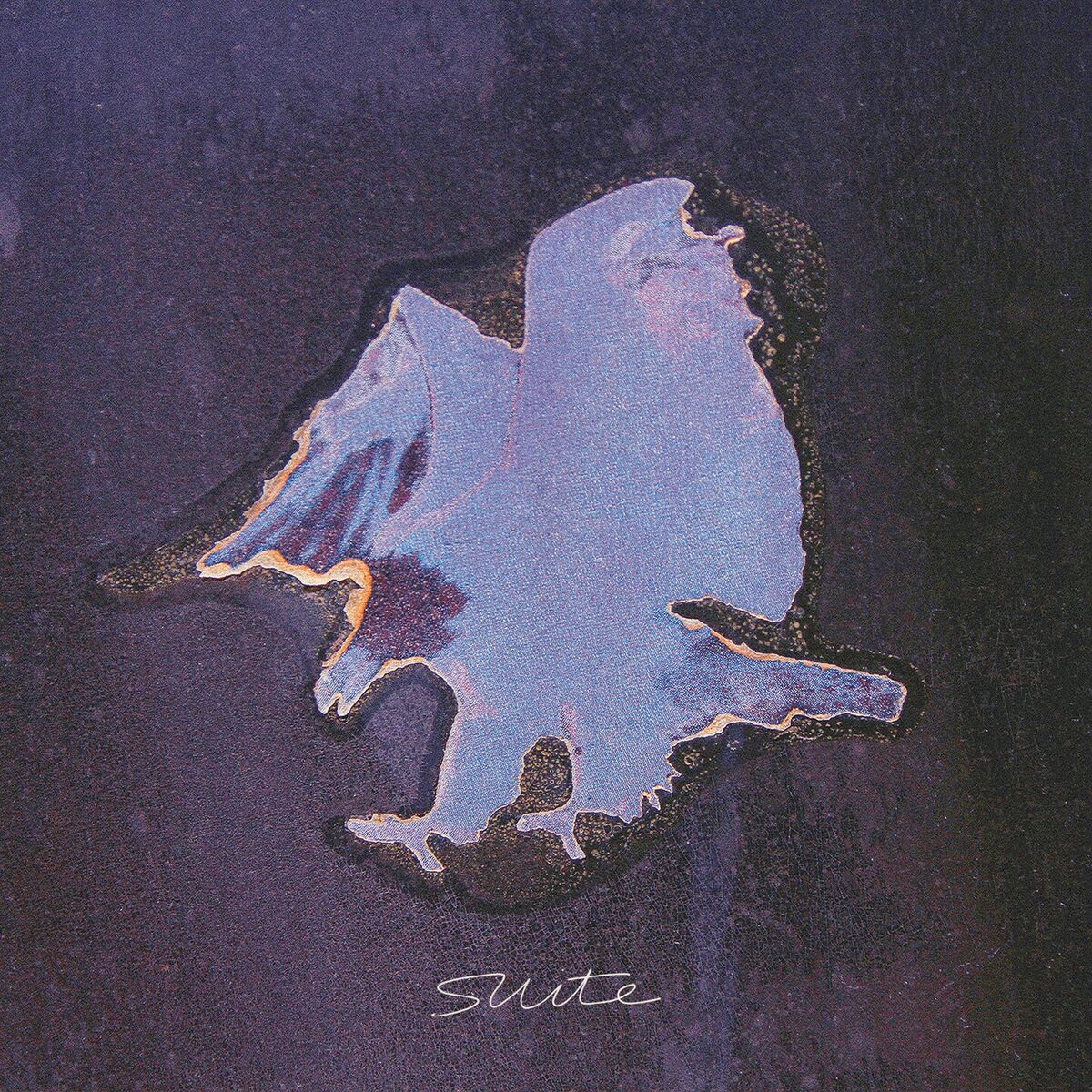 Album cover of Suite