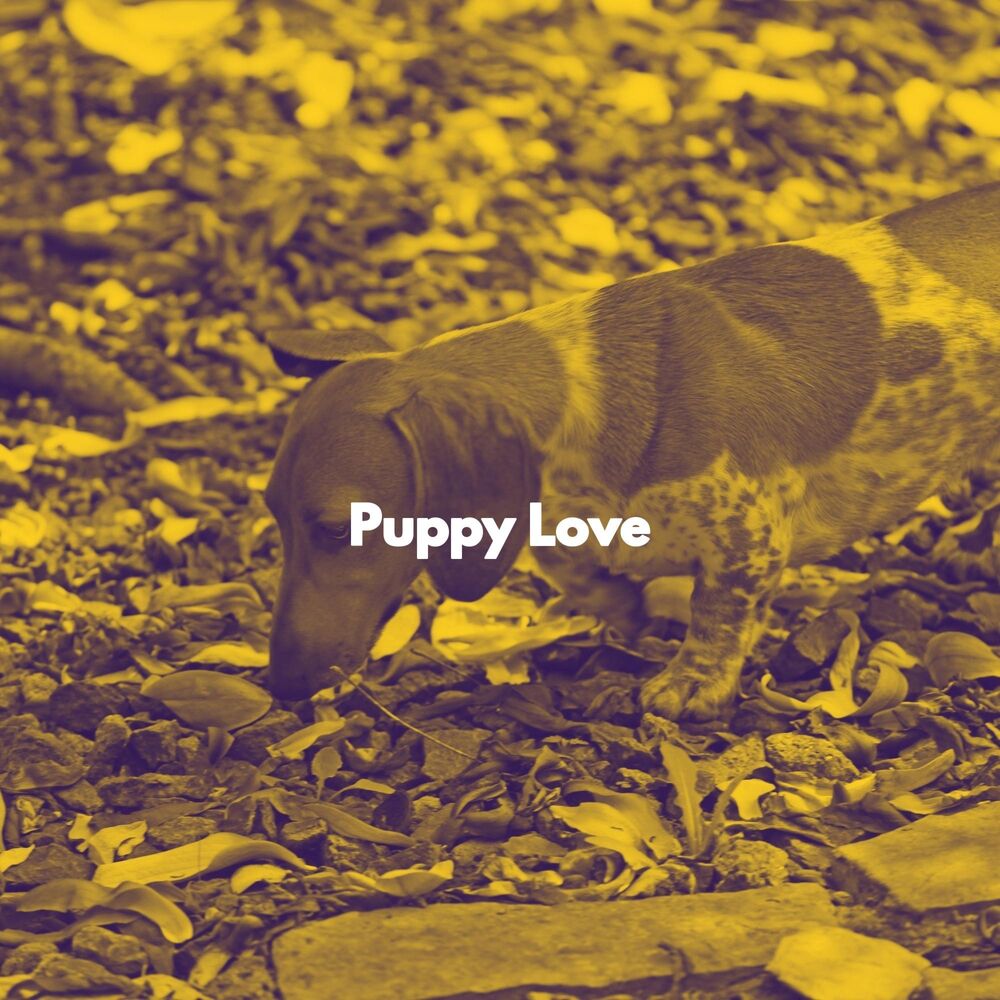 Picture of Puppy Love