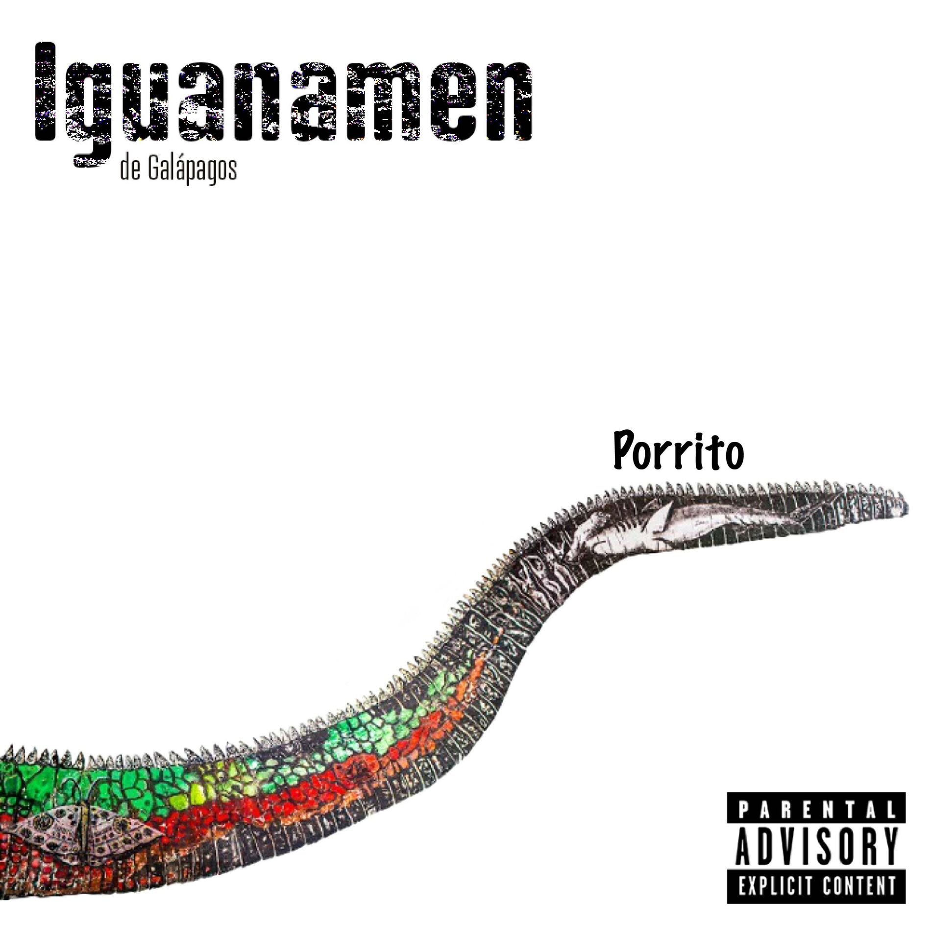 Album cover of Porrito (feat. Javier Fernandez, Héctor Napolitano, Mike Wendell, Fabricio Rodriguez & Alejandro Merizalde)