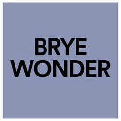 Cover of Wonder