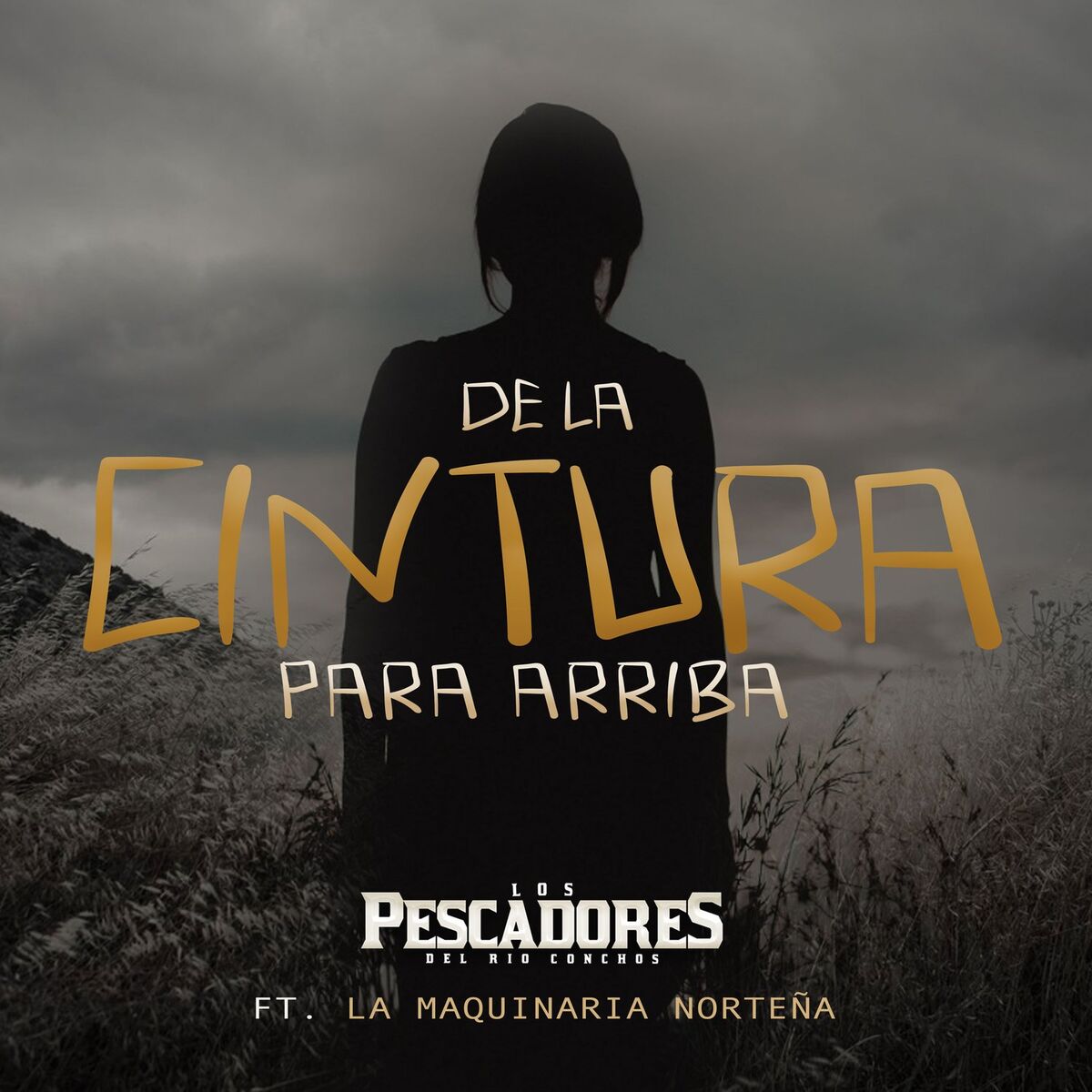 Album cover of De la Cintura para Arriba