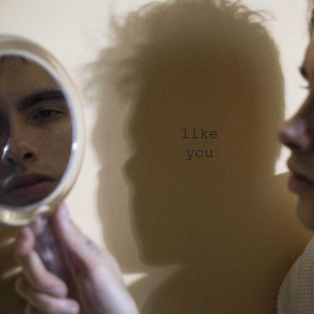 Picture of Like You
