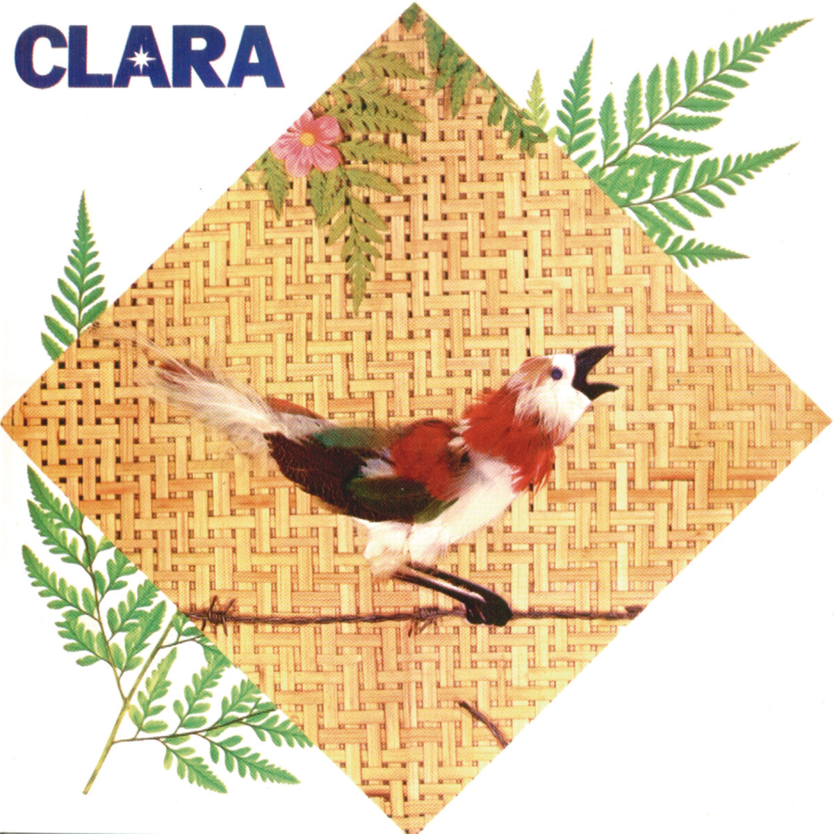 Album cover of Magoada