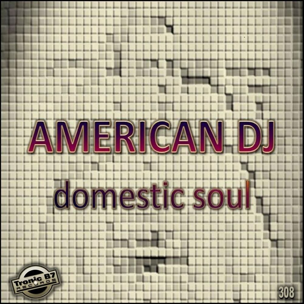 Picture of Domestic Soul EP