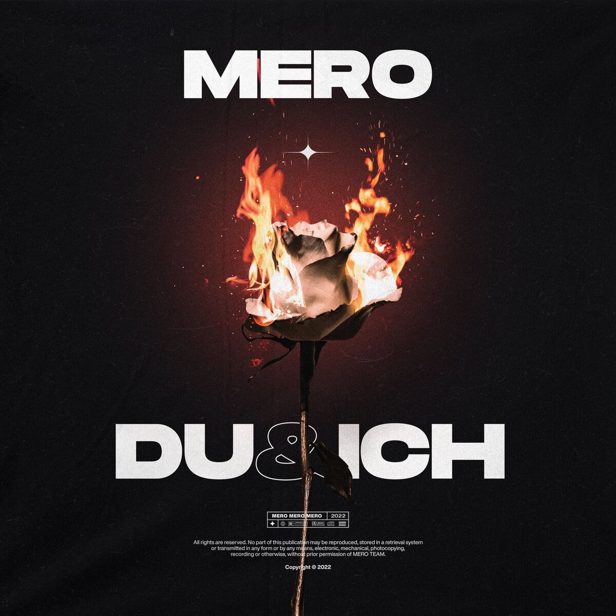 Album cover of Du & Ich