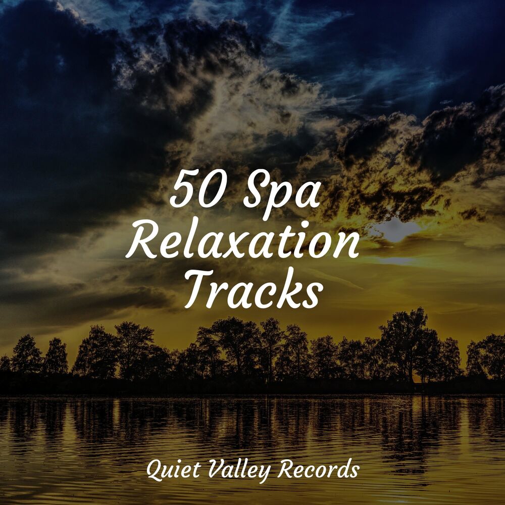Picture of 50 Spa Relaxation Tracks