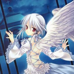 Cover of alive