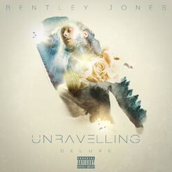 Cover of Unravelling Deluxe