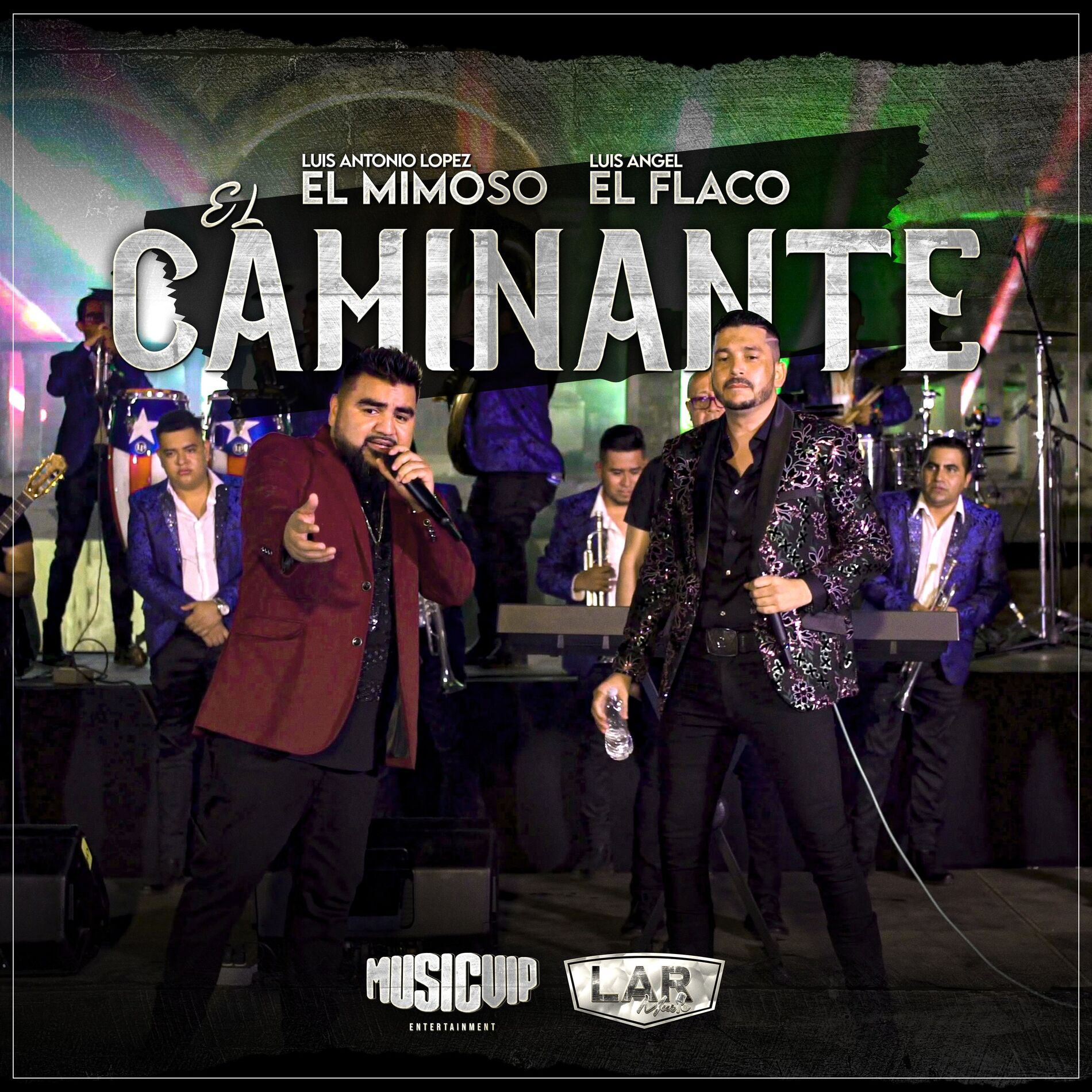 Album cover of El Caminante