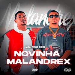 Cover of Novinha Malandrex