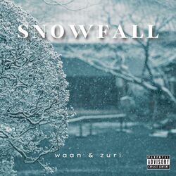 Cover of snowfall