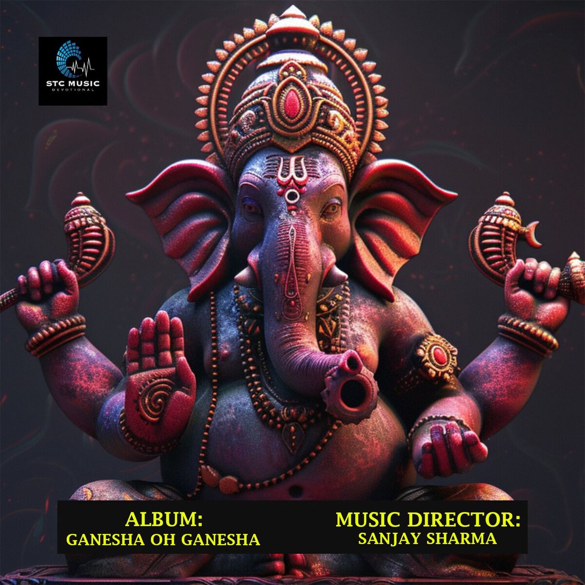 Album cover of Ganesha Oh Ganesha