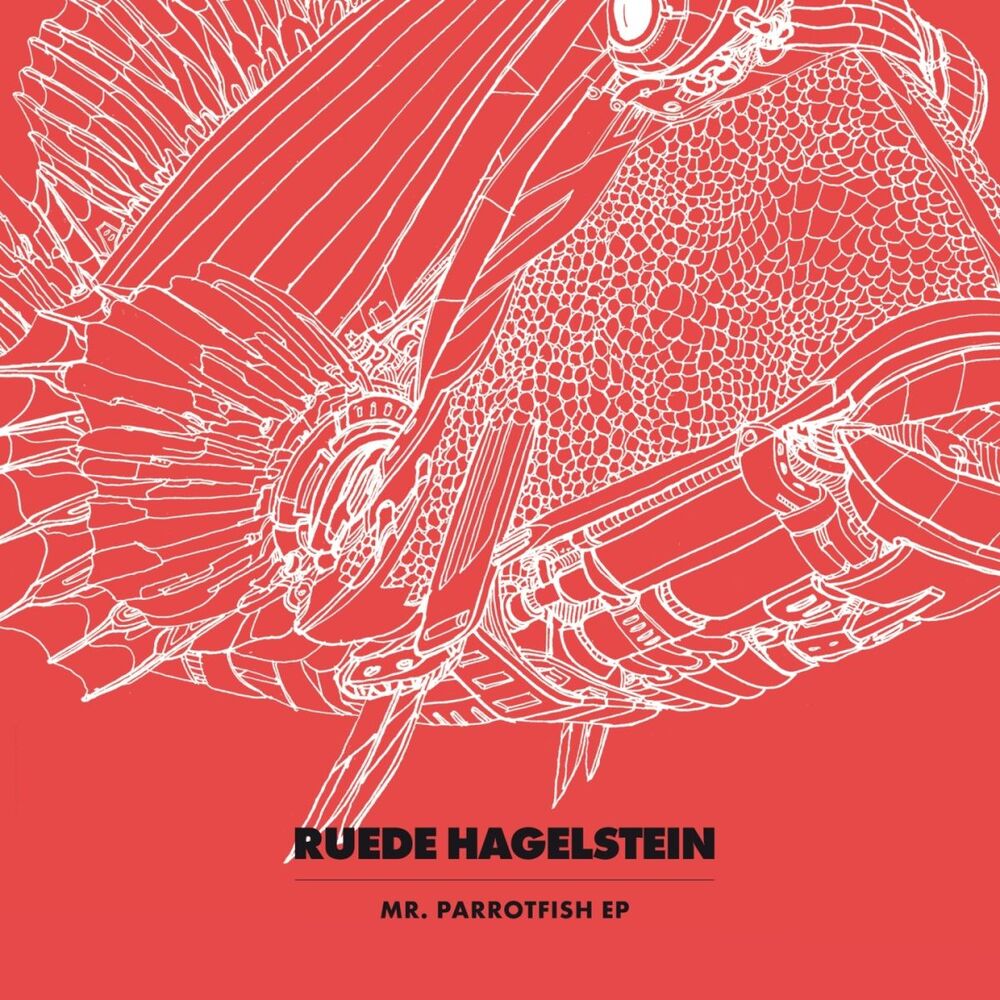 Picture of Mr. Parrotfish EP