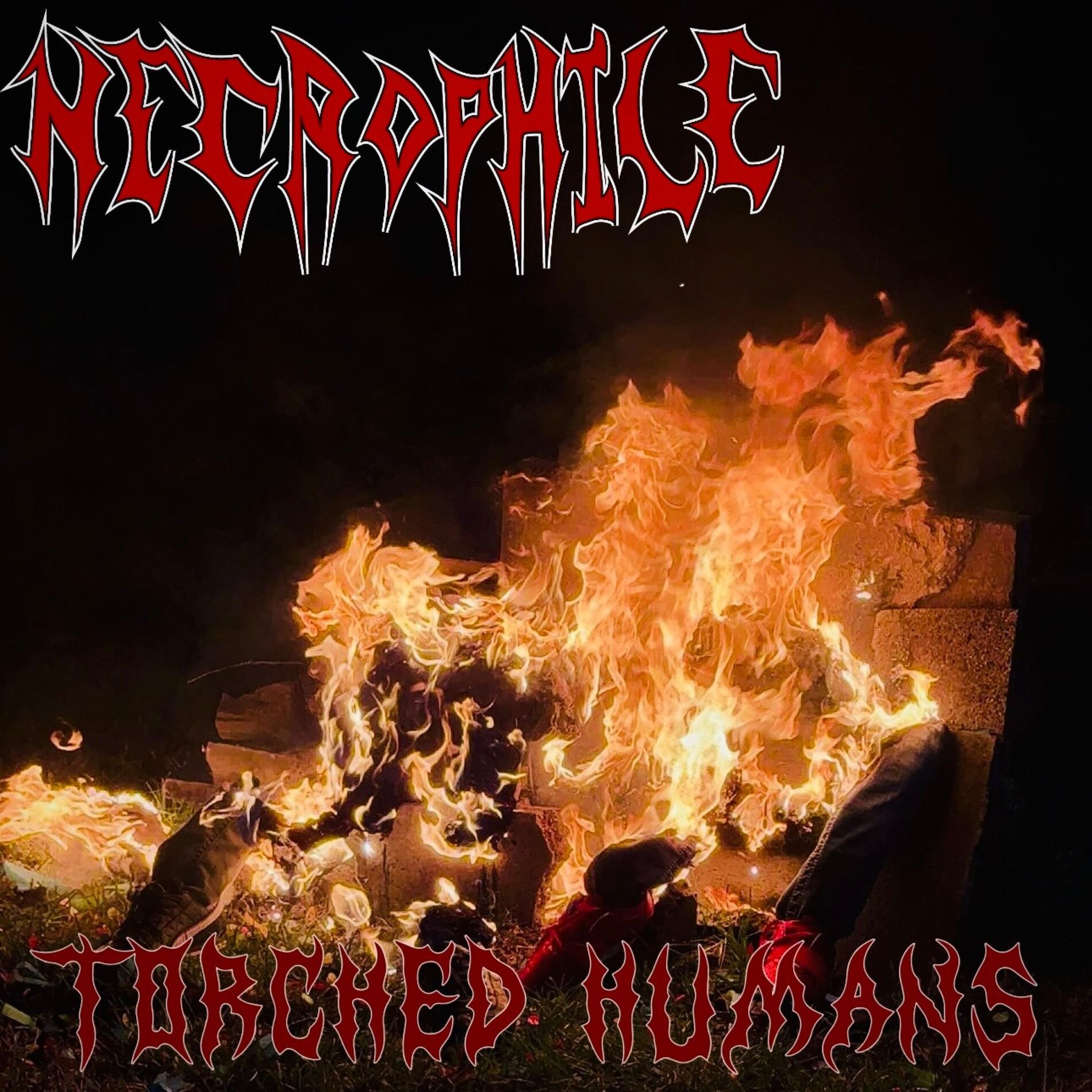 Album cover of Torched Humans