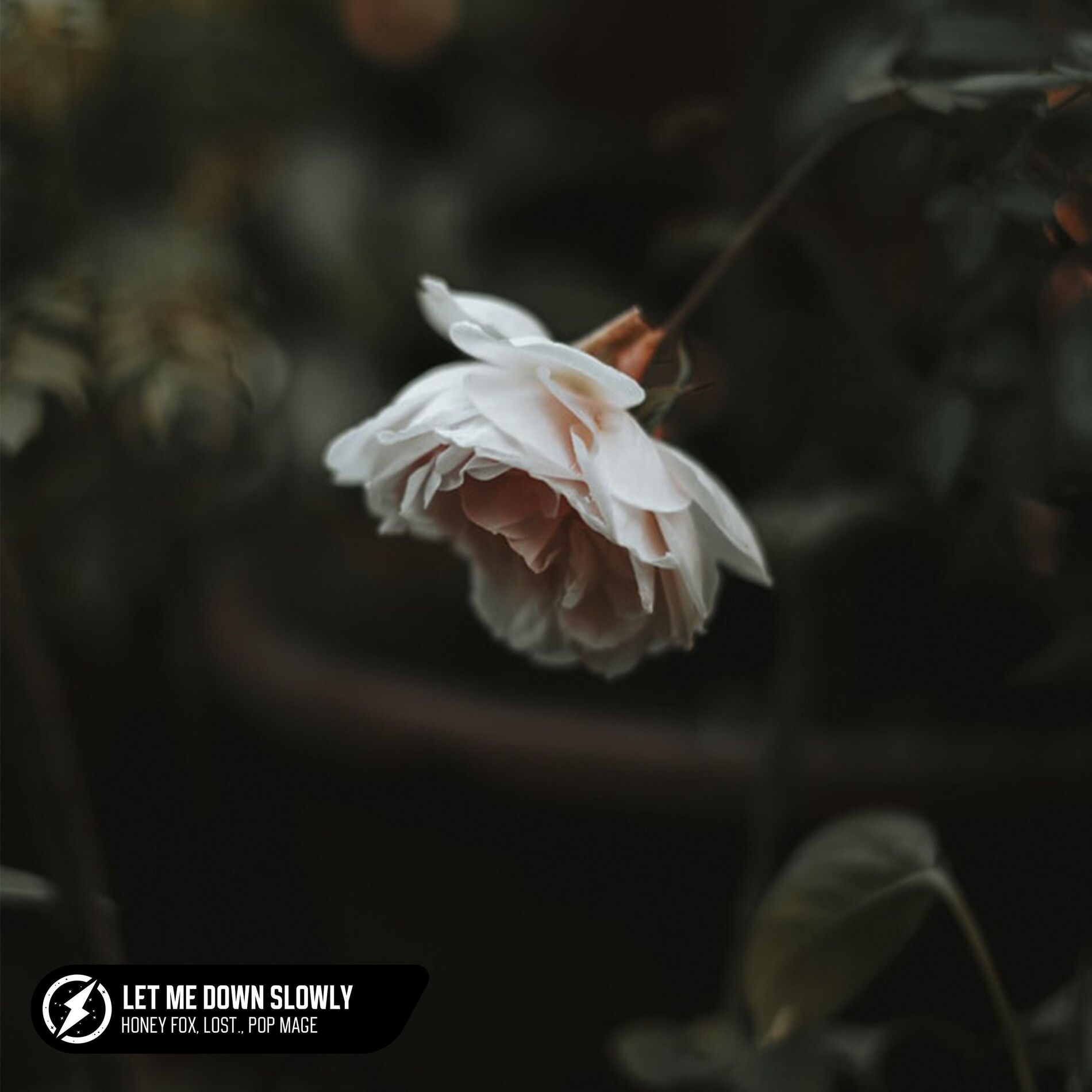 Album cover of Let Me Down Slowly