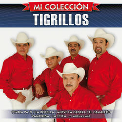 Cover of Mi Colección
