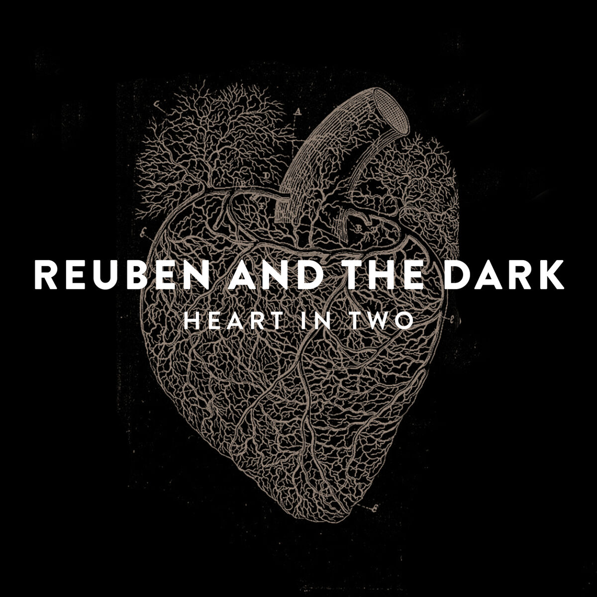 Album cover of Heart In Two