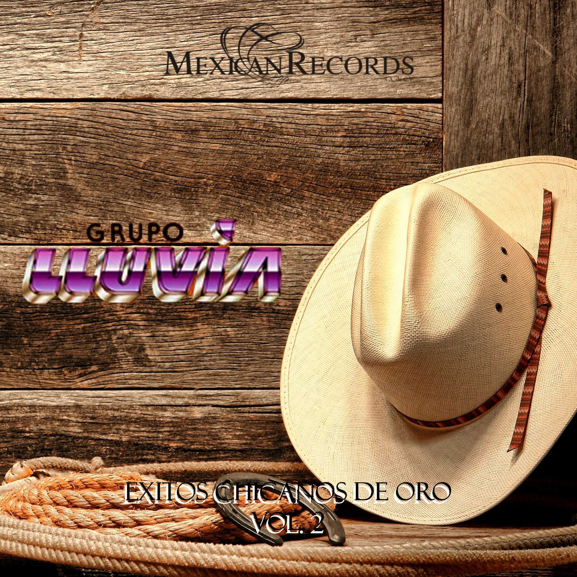 Album cover of Éxitos Chicanos De Oro, Vol.2
