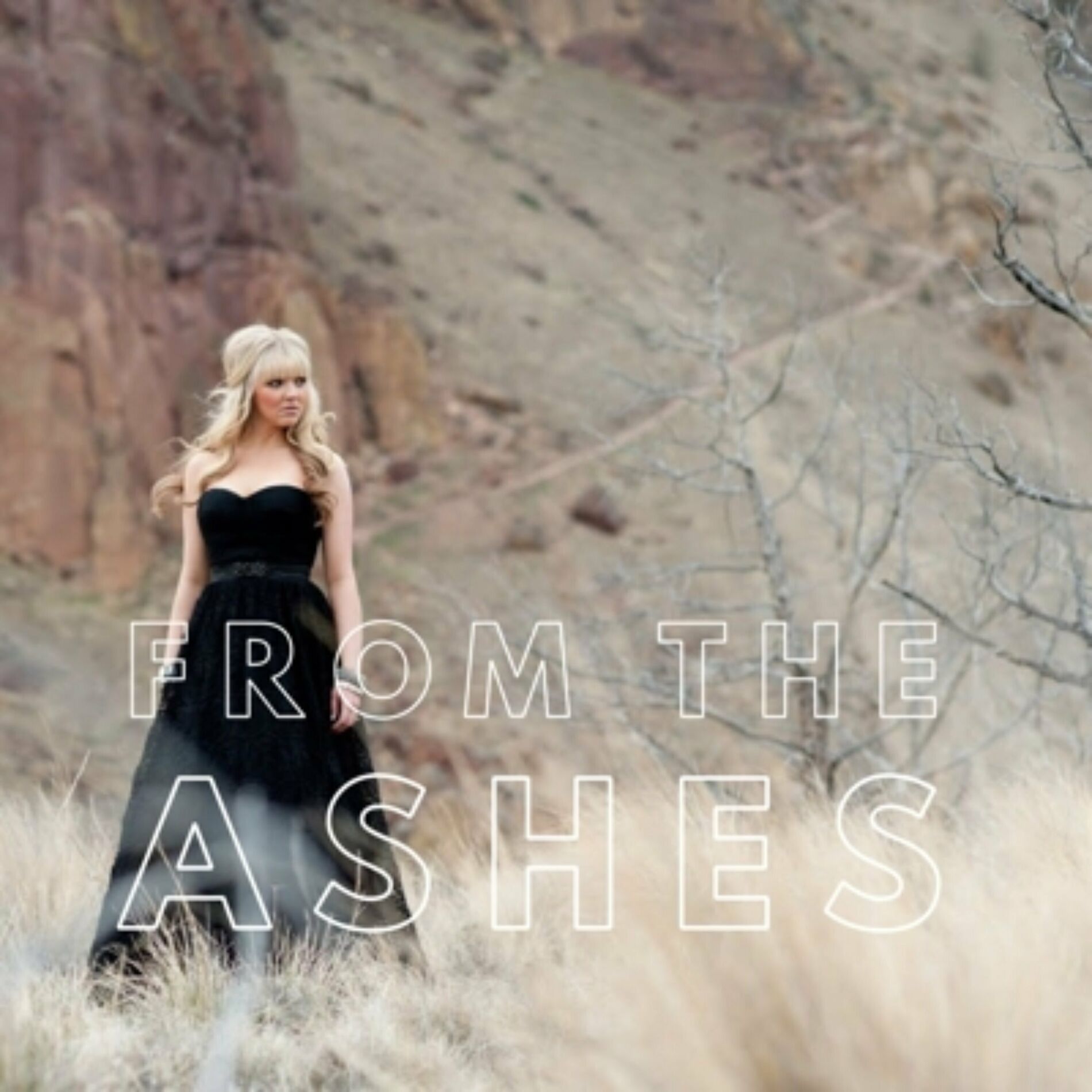Album cover of From the Ashes