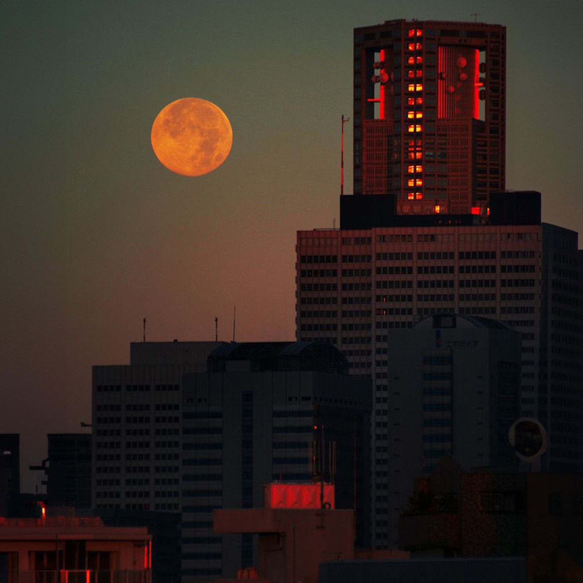 Album cover of Lunar