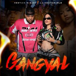 Cover of Gangyal