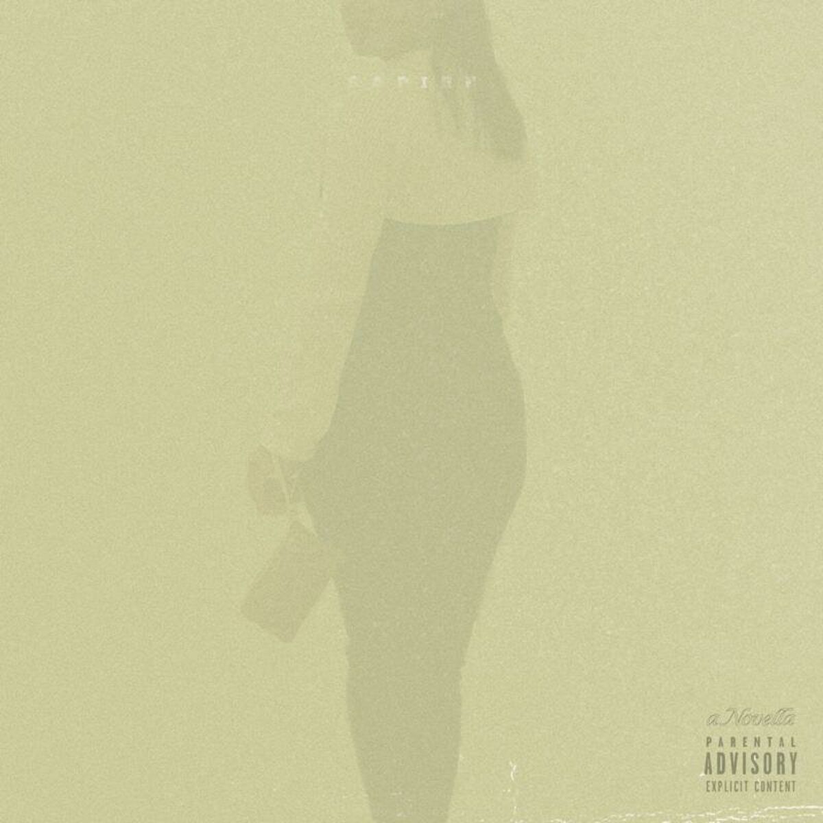 Album cover of SAPIEN.