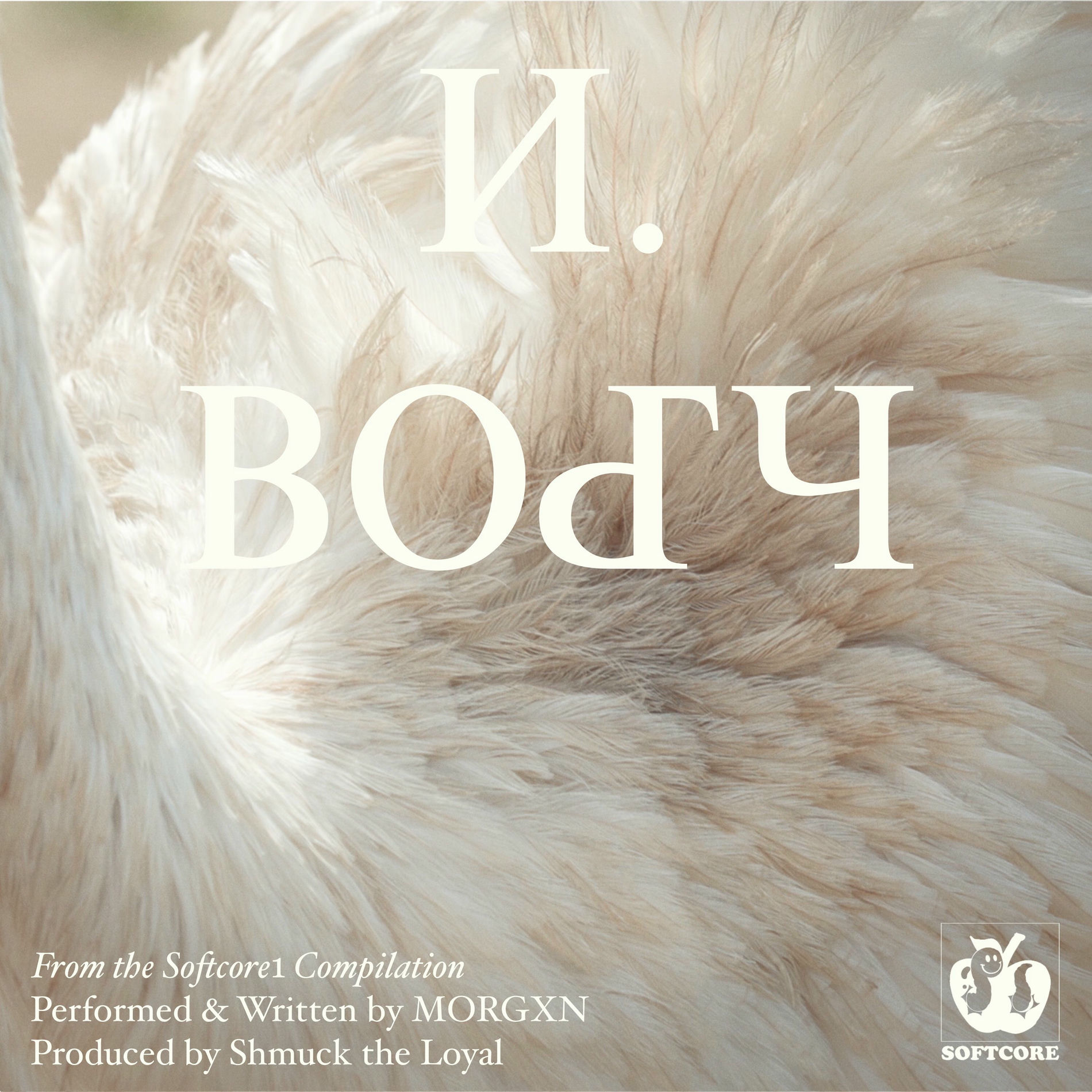 Album cover of N.BODY