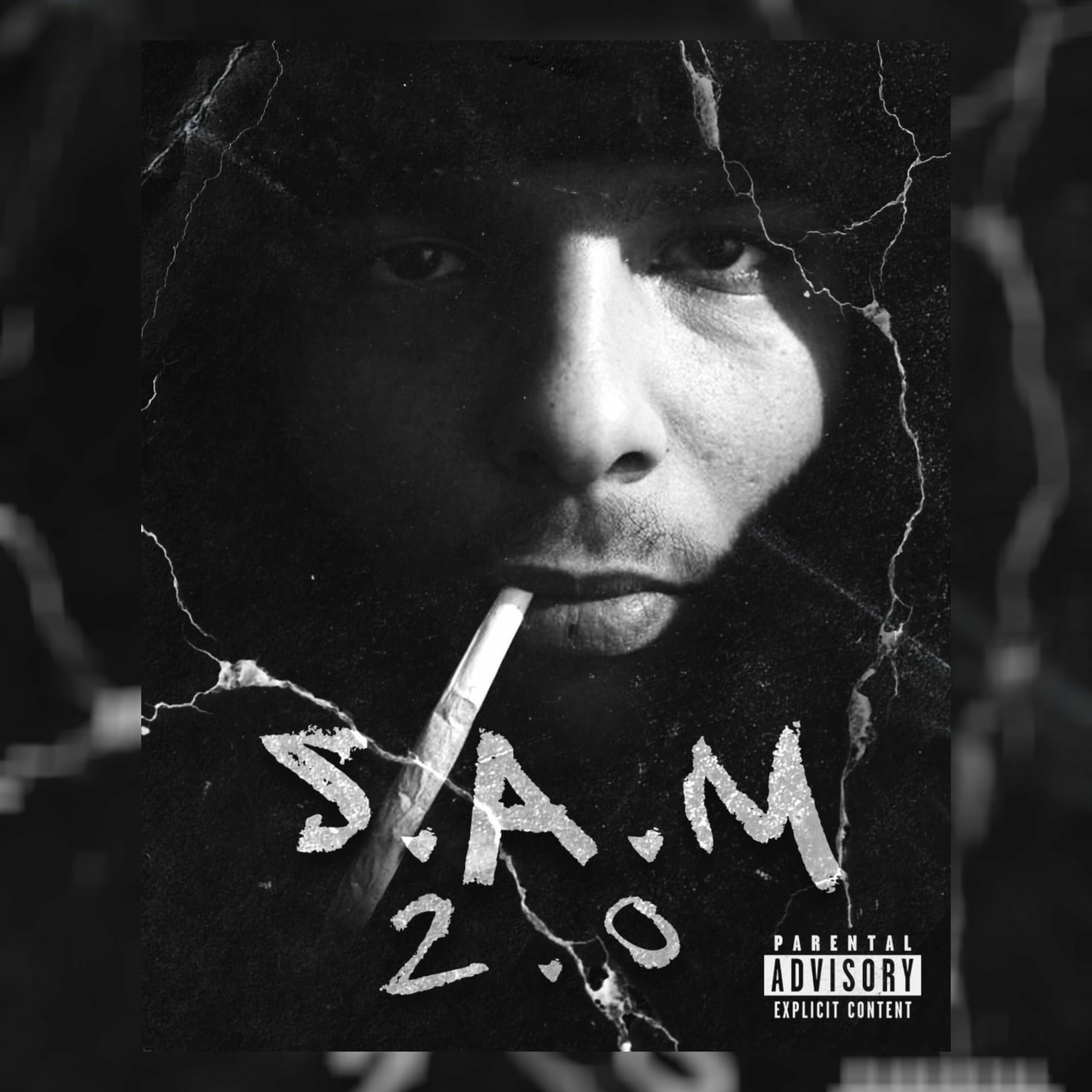 Album cover of S.A.M 2.0