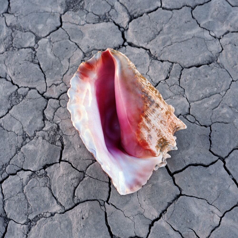 Picture of Wonderful Wonderful (Deluxe)