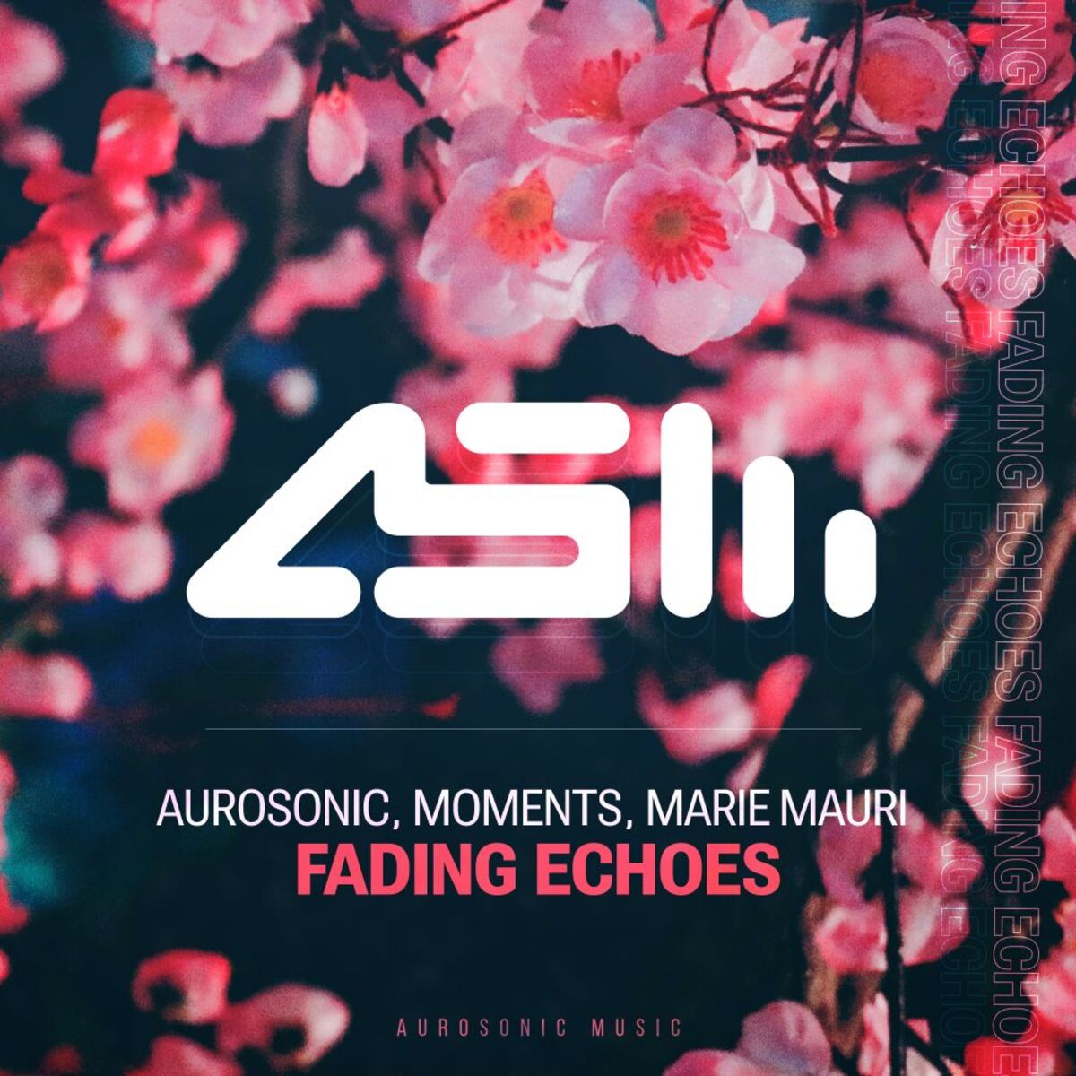 Album cover of Fading Echoes