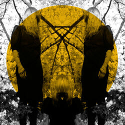 Cover of Feel It Break