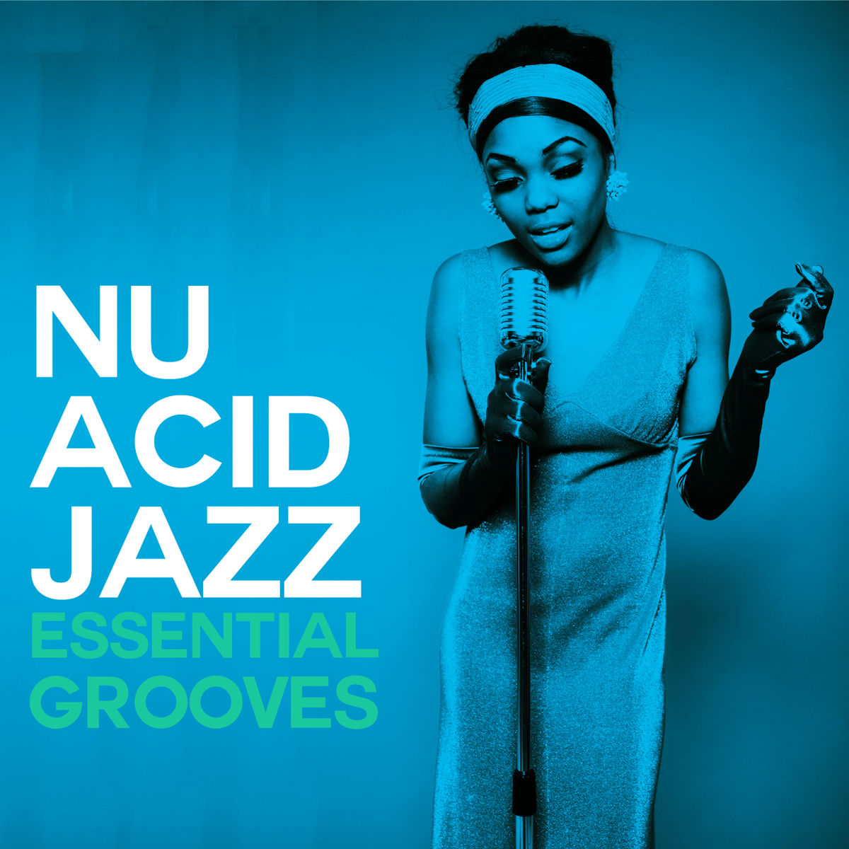 Album cover of Nu Acid Jazz Essential Grooves