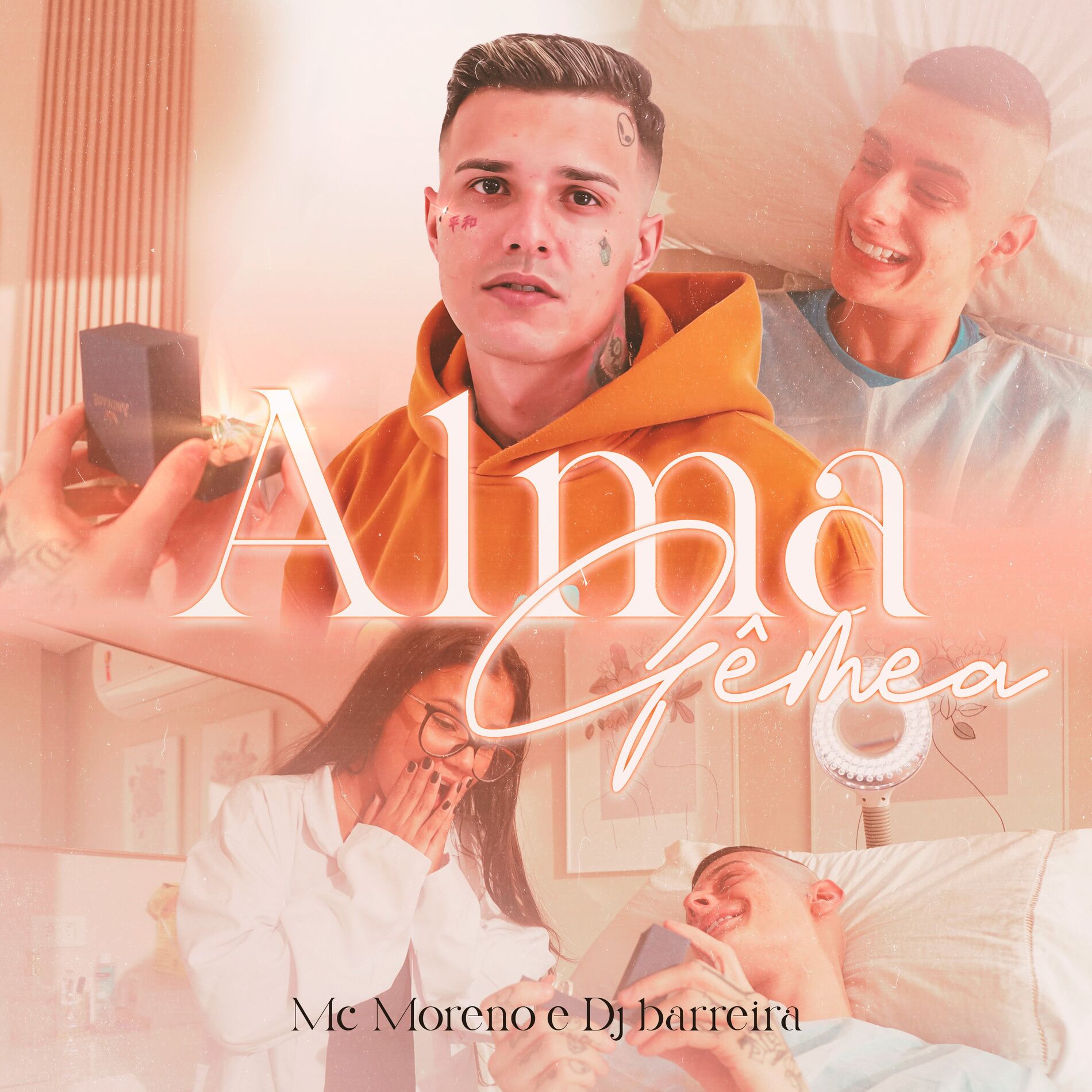 Album cover of Alma Gêmea