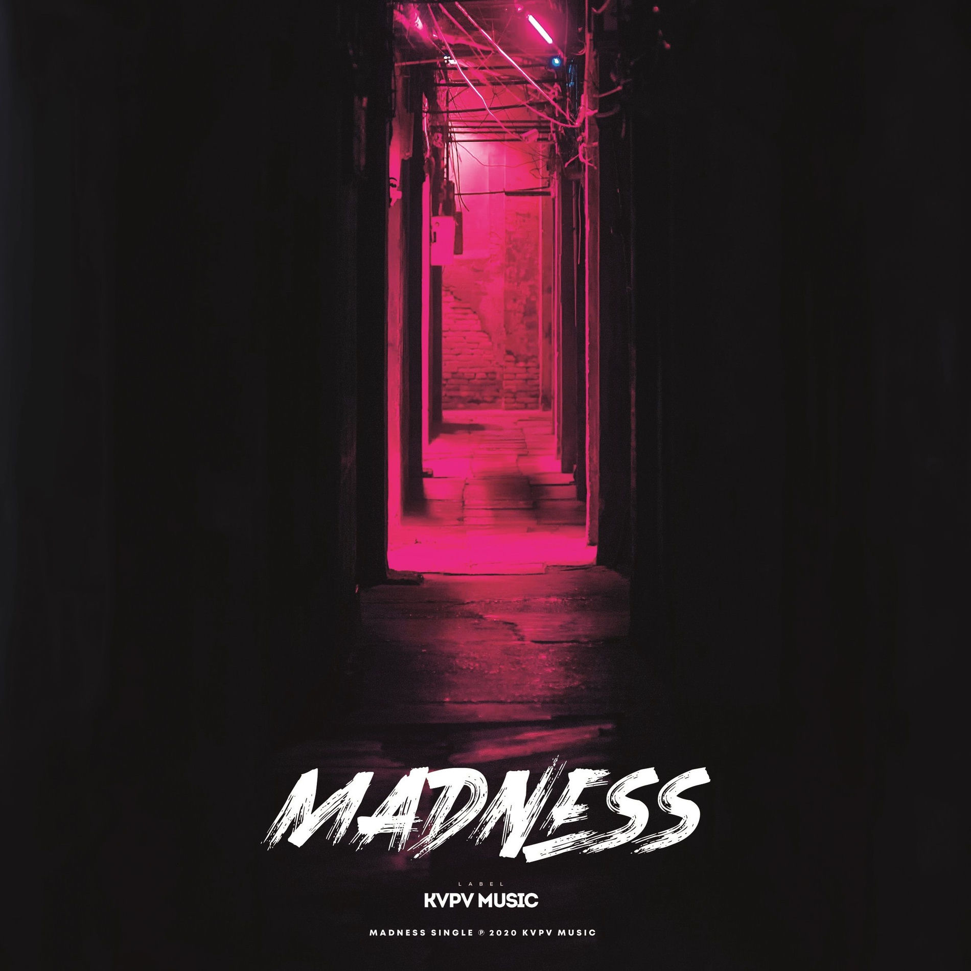 Album cover of Madness