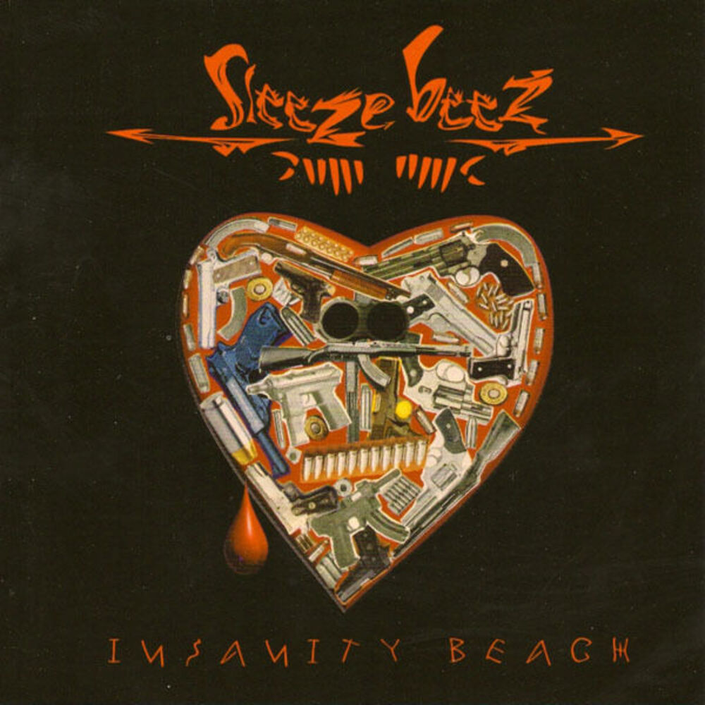 Picture of Insanity Beach