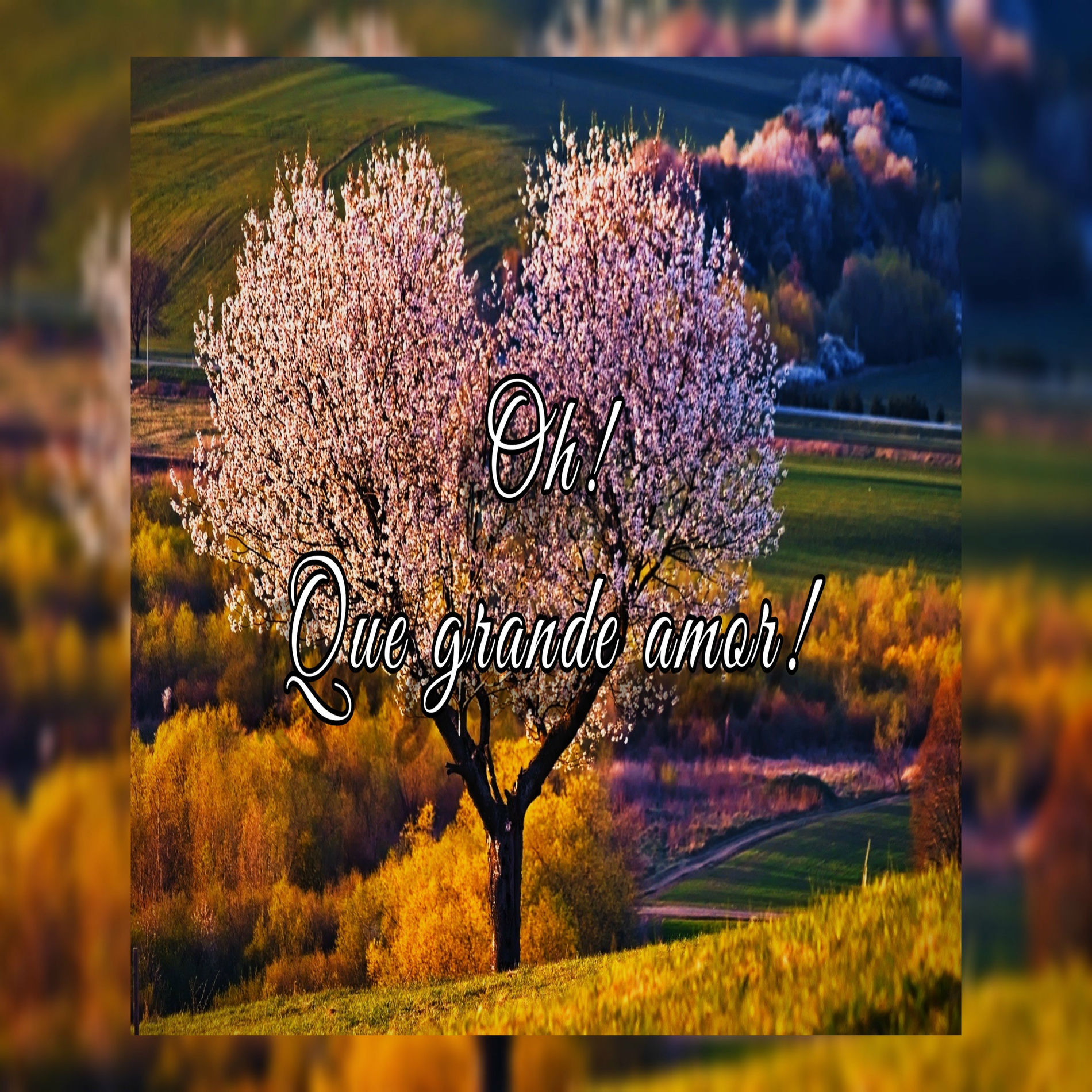 Album cover of Oh! Que Grande Amor!