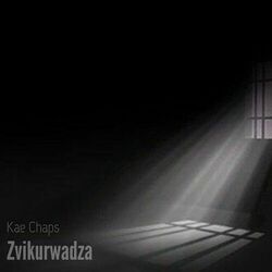 Cover of Zvikurwadza
