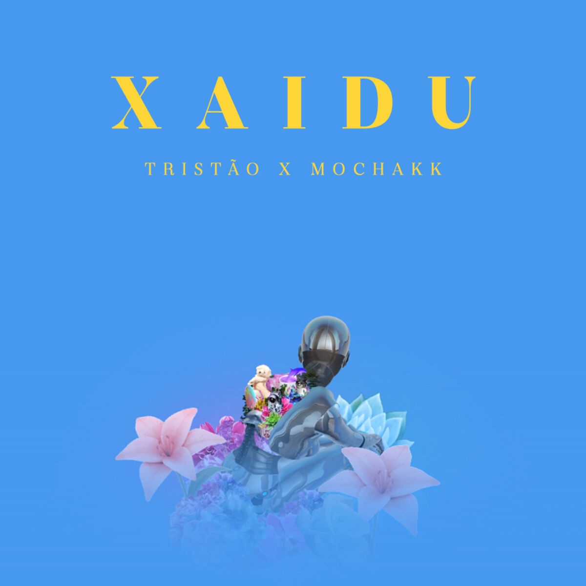 Album cover of Xaidu
