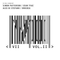 Cover of VII Vol. II