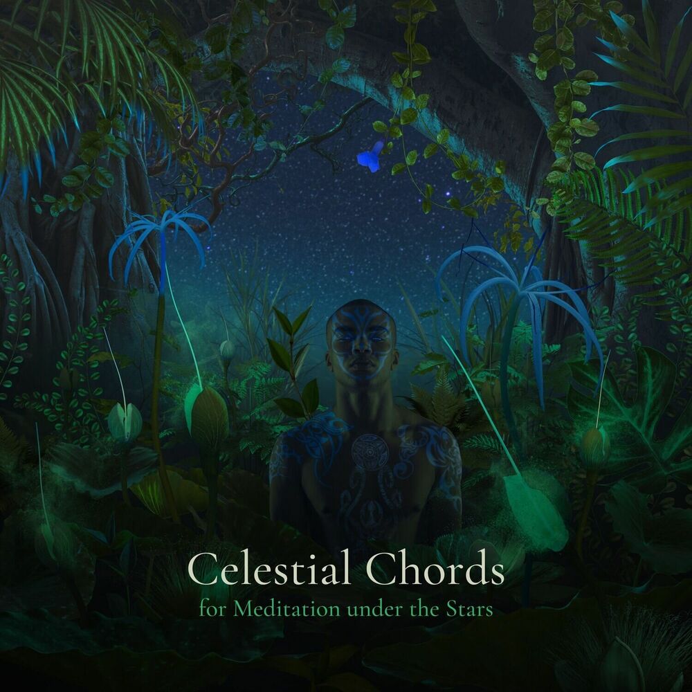 Picture of * Celestial Chords for Meditation under the Stars *