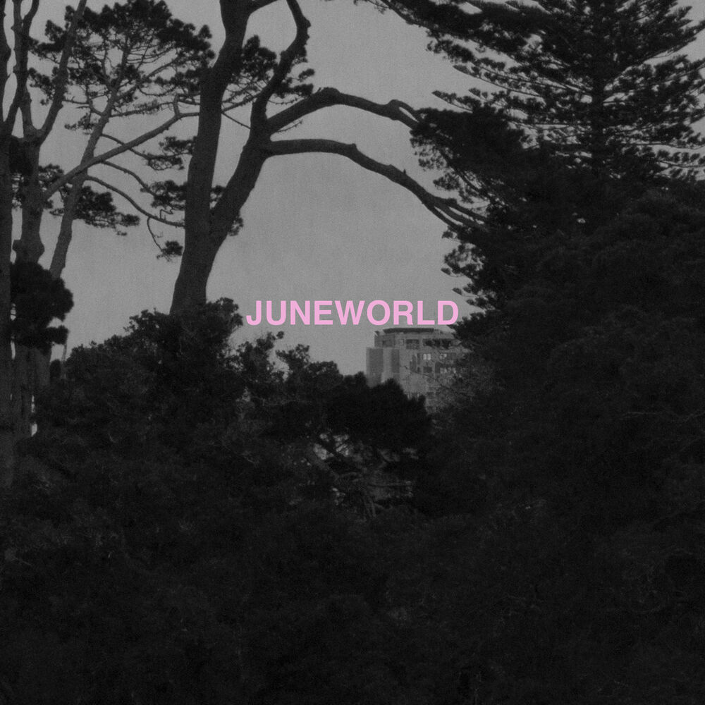 Picture of Juneworld