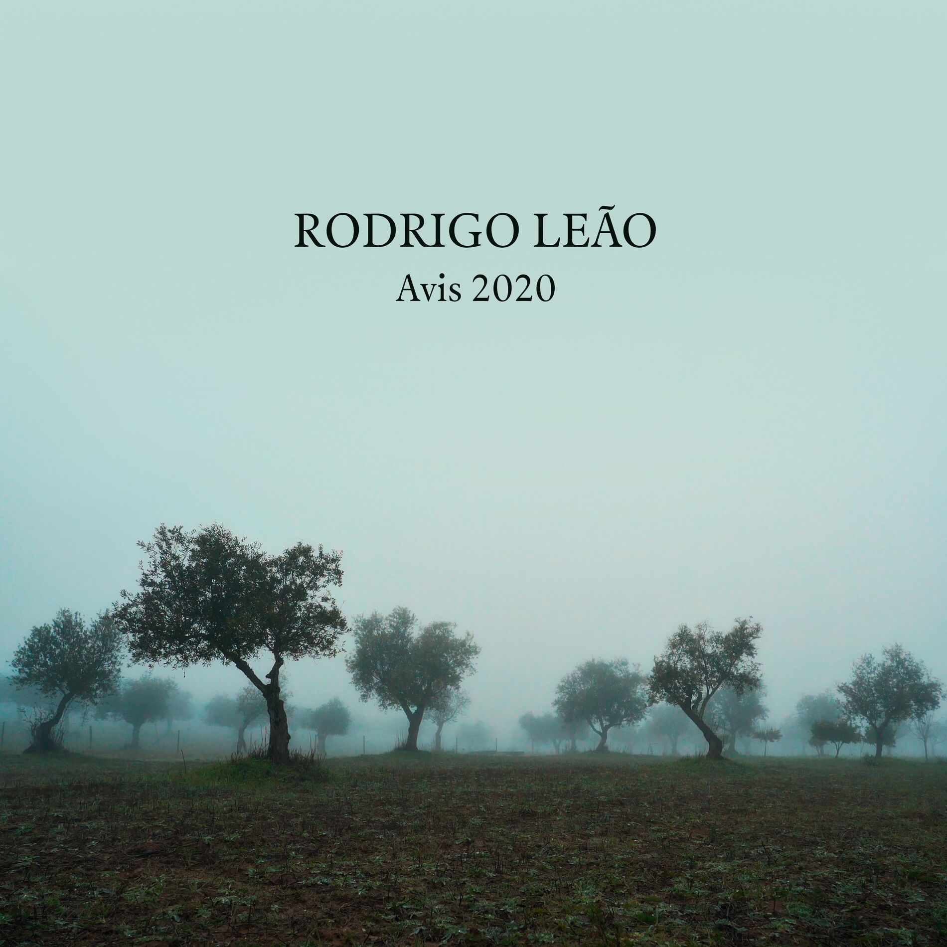 Album cover of Avis 2020