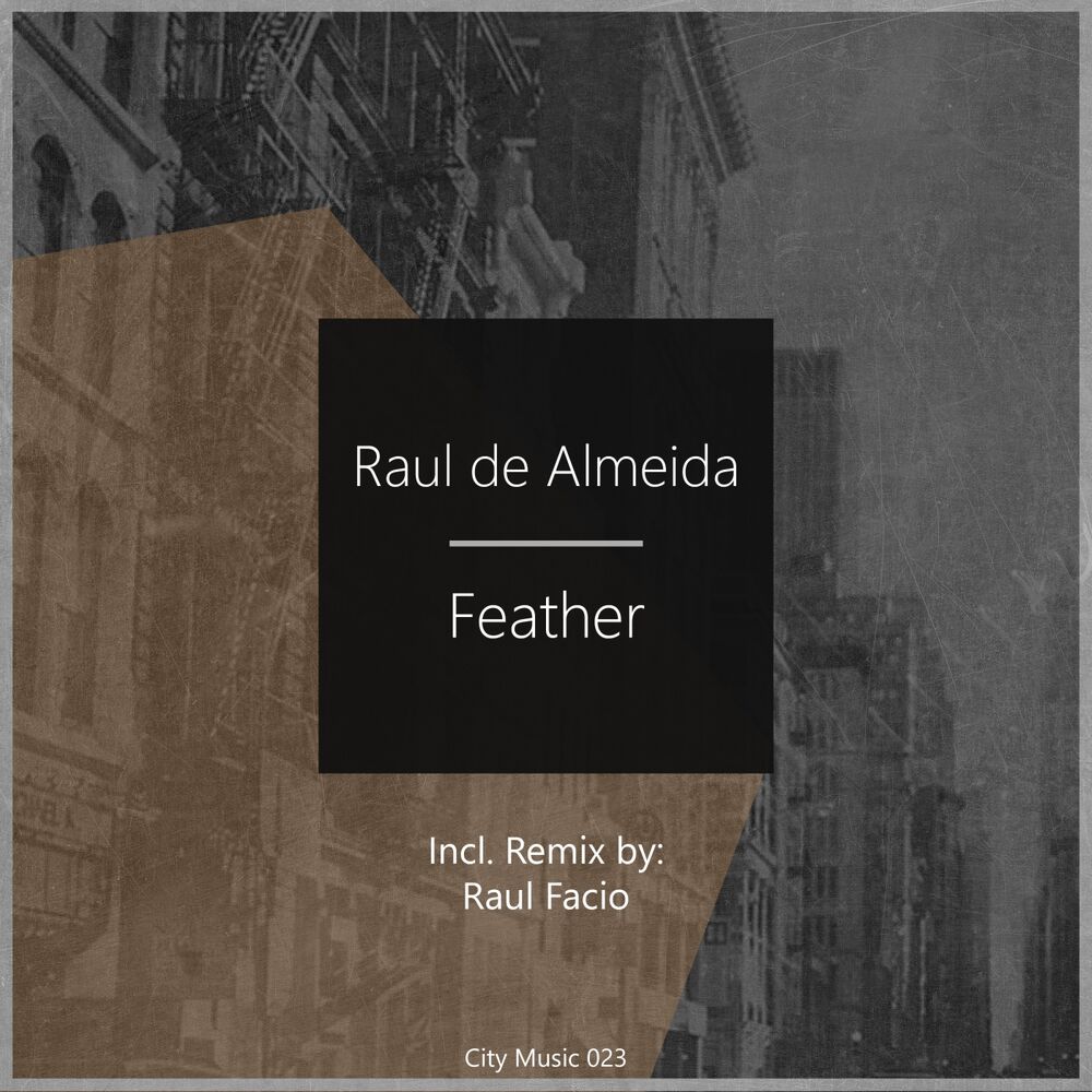 Picture of Feather