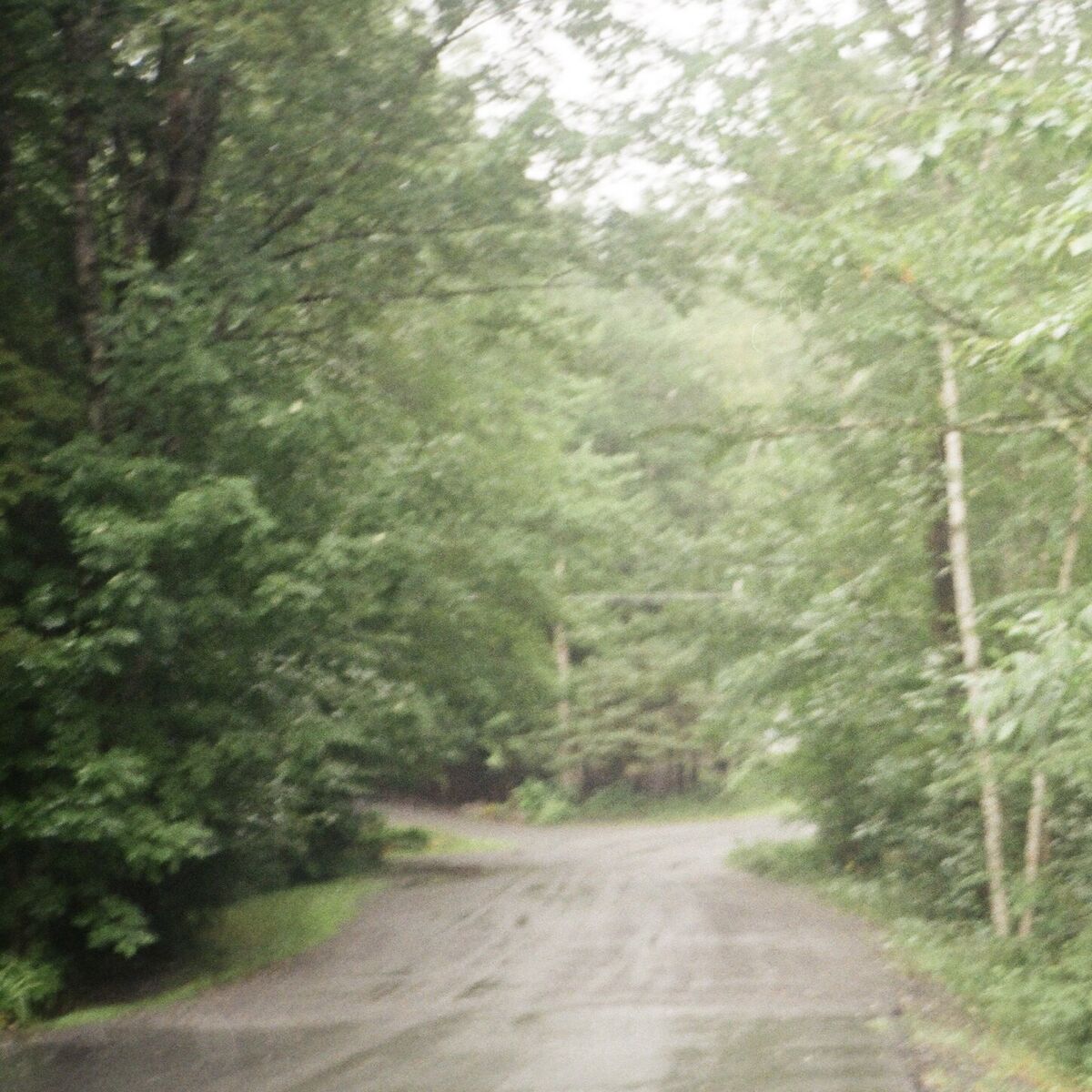 Album cover of Gentle