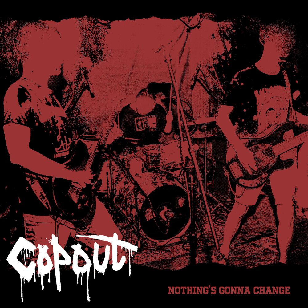 Picture of Nothing's Gonna Change