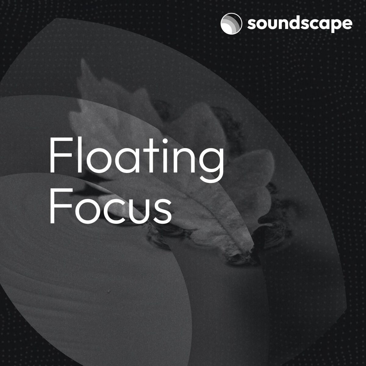 Album cover of Floating Focus