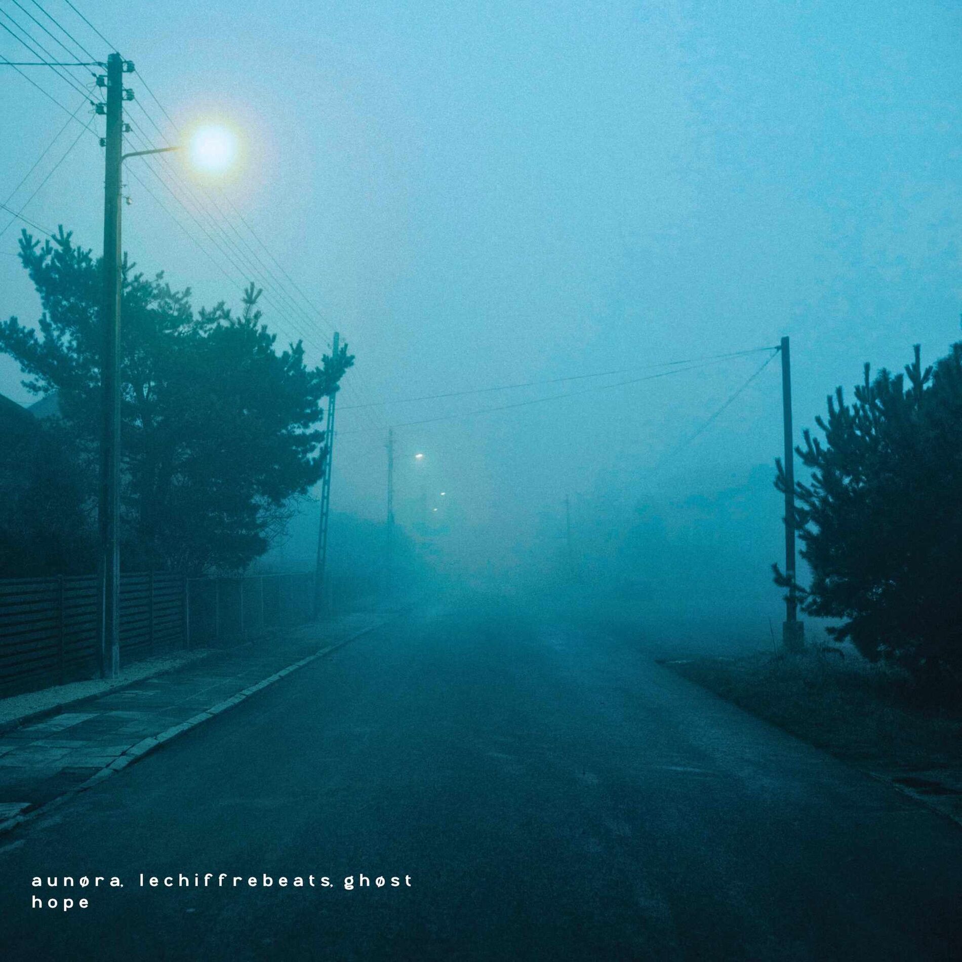 Album cover of hope